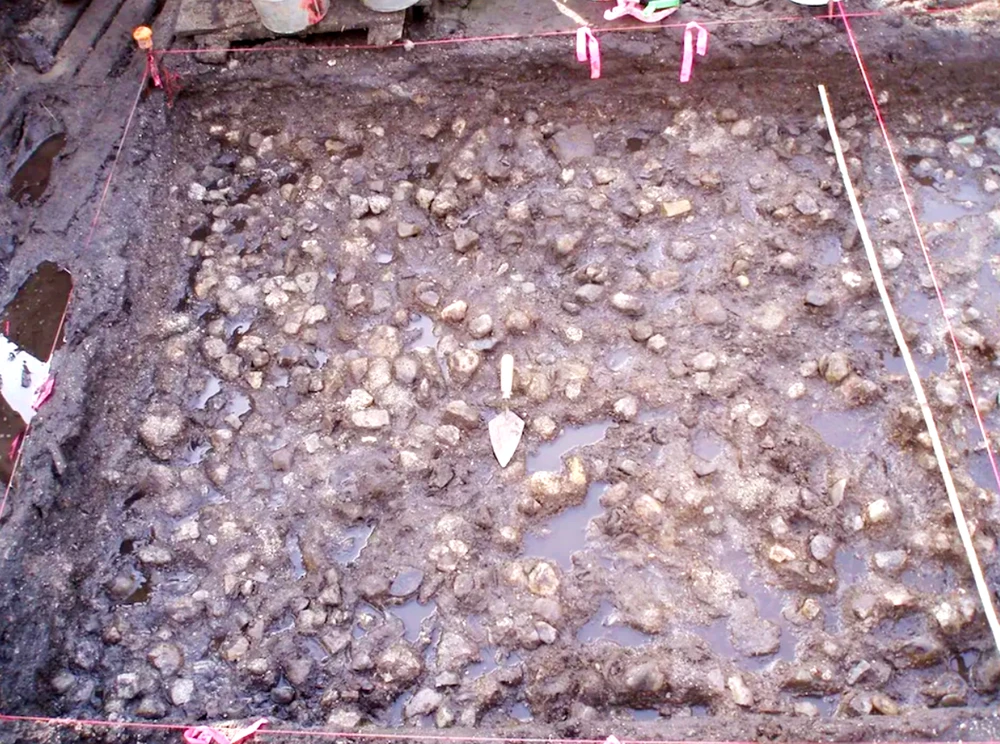 Vén màn bí ẩn vườn khoai tây ngập nước 3.800 năm tuổi