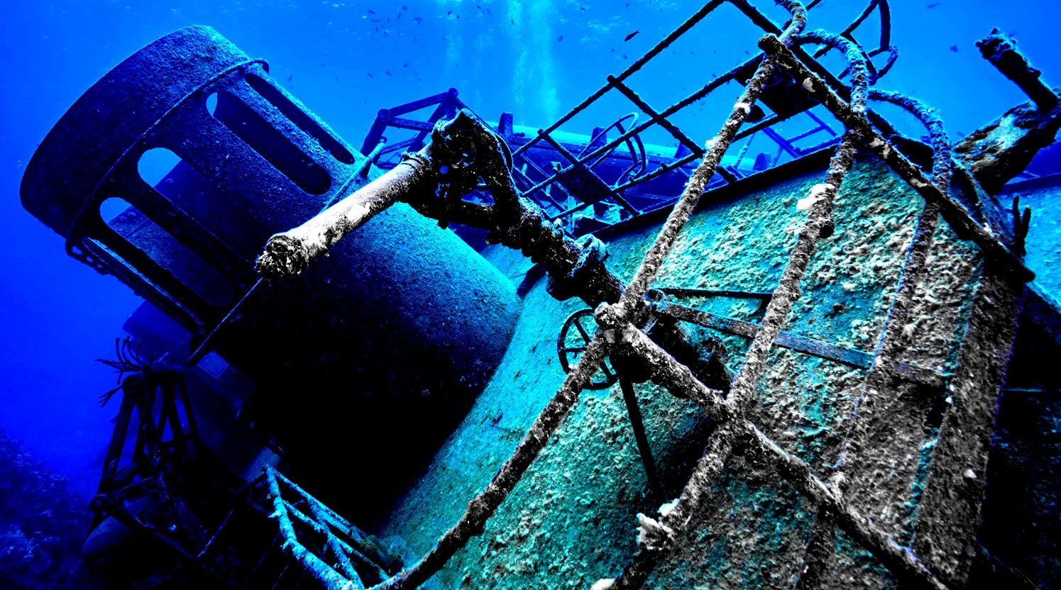 Bí mật gây sốc nằm sâu trong xác tàu đắm 500 năm tuổi