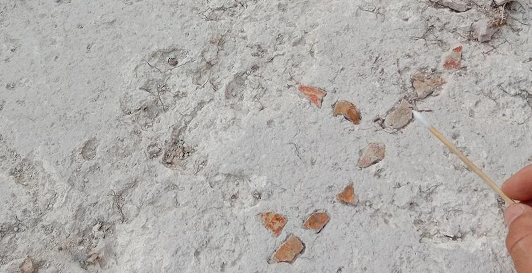 Khai quật bàn cờ Patolli bí ẩn hé lộ truyền thống chơi game Maya