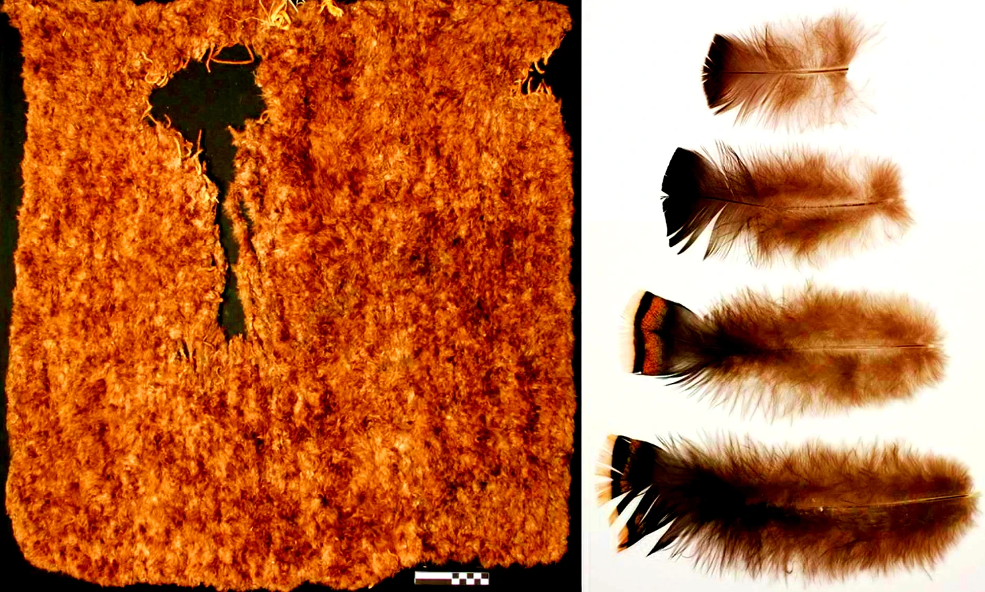 Chấn động chiếc chăn 800 năm làm từ 11.500 lông gà tây 