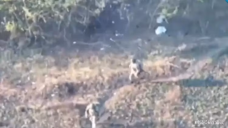 Ngoài ra, để giúp bộ binh chiến đấu hiệu quả hơn, quân Ukraine cũng học RFAF, khi trang bị cho bộ binh tấn công một số xe địa hình, để tham gia các hoạt động tấn công vượt chướng ngại vật. Trước sự tấn công quyết liệt của AFU, họ cũng đã tiếp cận và thậm chí có lúc còn kiểm soát được các ngôi làng Popovka và Demidovka ở tỉnh Belgorod.