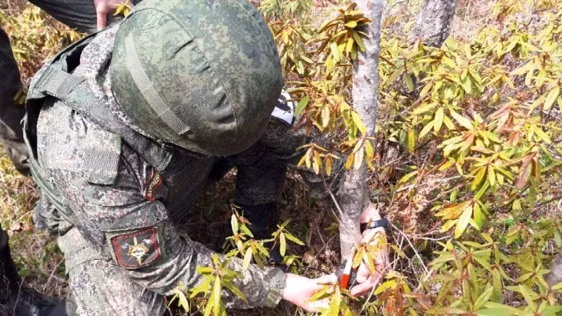 Cung cấp thêm chi tiết, họ lưu ý rằng một nhóm binh sĩ quân đội Nga đã xâm nhập được vùng ngoại ô phía đông của Orekhovo cách đây 5 ngày. Họ cũng nhấn mạnh rằng binh lính Nga đã tiến vào thành phố qua khu vực Novoandriivka, hướng về phía bắc đến vùng ngoại ô phía đông của Orekhiv, và sau đó tiến sâu đến khu phố Zavodskoy, nơi có nhiều tòa nhà cao tầng.