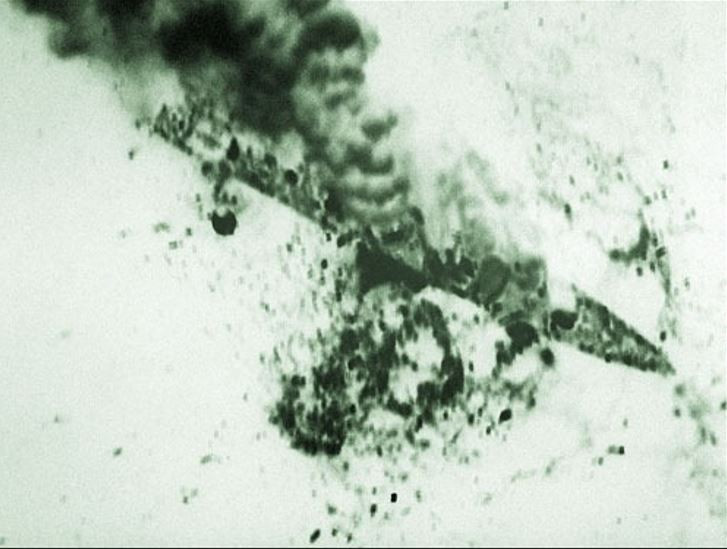 Hải quân Iran đã từng giao chiến với Hải quân Mỹ. Trận hải chiến trong chiến dịch “Bọ Ngựa Cầu Nguyện”, diễn ra ngày 18/4/1988, là cuộc tấn công trả đũa của Hải quân Mỹ nhằm vào Iran tại Vịnh Ba Tư, sau khi tàu USS Samuel B. Roberts trúng thủy lôi.