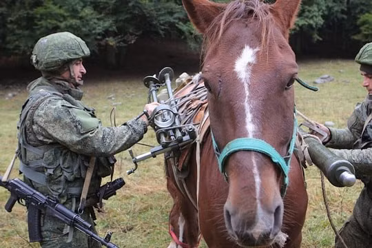 Khi xung đột kéo dài, Nga bắt đầu điều chỉnh cách tiếp cận. Thay vì chỉ tìm cách gây nhiễu hoặc đe dọa tấn công hệ thống Starlink, Moscow nhận ra một lựa chọn thực dụng hơn: sử dụng chính công nghệ mà Ukraine đang khai thác.