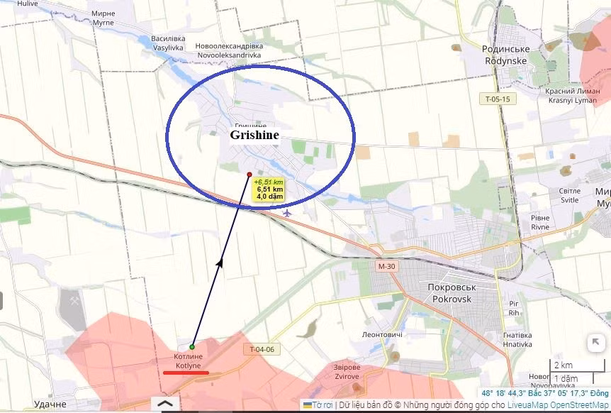Ngôi làng này có một lịch sử lâu dài. Từ năm 1780 đến năm 1790, làng Grishine thuộc sở hữu nhà nước, được thành lập trên đất của người Cossack và những người nông dân nghèo. Ngôi làng nằm trên bờ sông Grishinka, giáp với Pokrovsk ở phía đông nam và cách Donetsk 65 km. Năm 2024, có 860 người sống trong làng. Còn theo điều tra dân số năm 2001, ngôi làng có 2.259 người sinh sống.