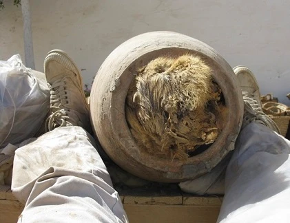 Tiết lộ thú vị về mai táng chó Ai Cập cổ đại 