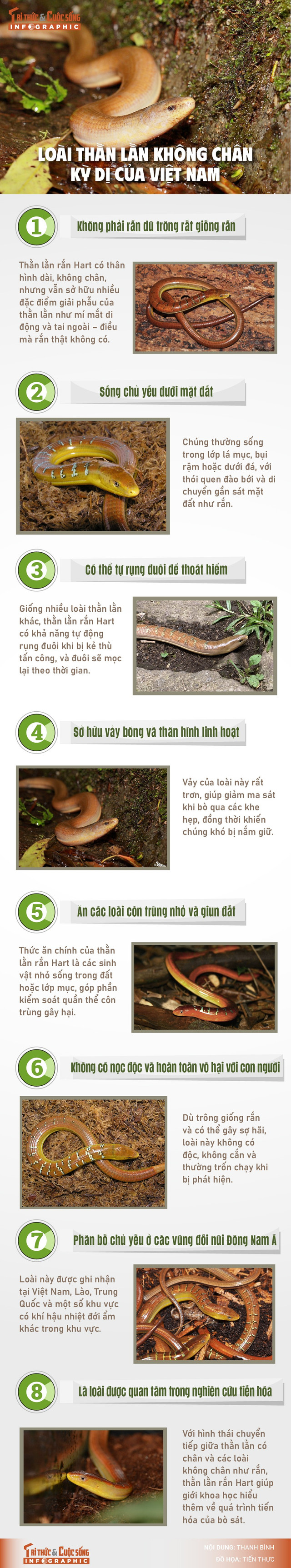 info-thanlan-hart-01-01.jpg