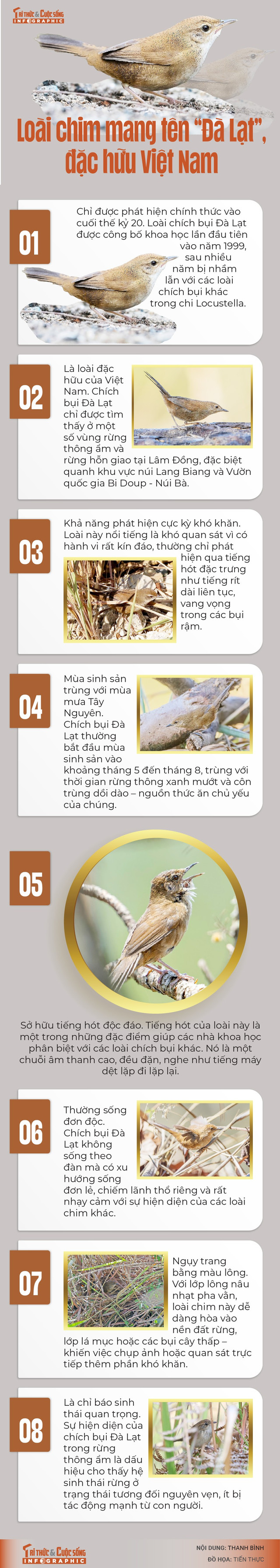 info-chichbui-dalat-01.jpg