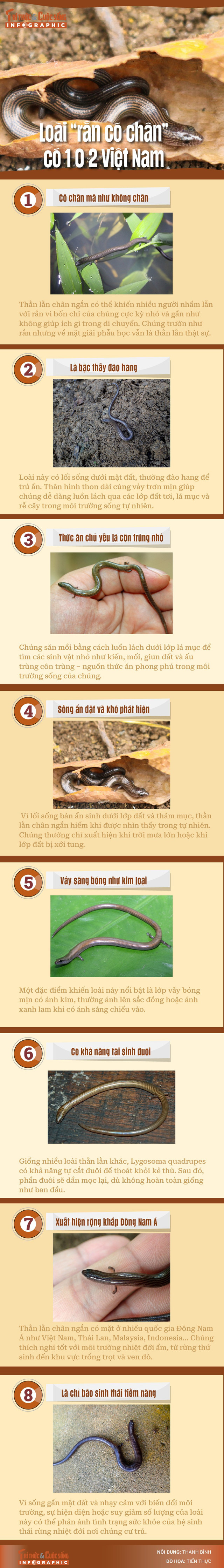 info-thanlan-channgan-01.jpg