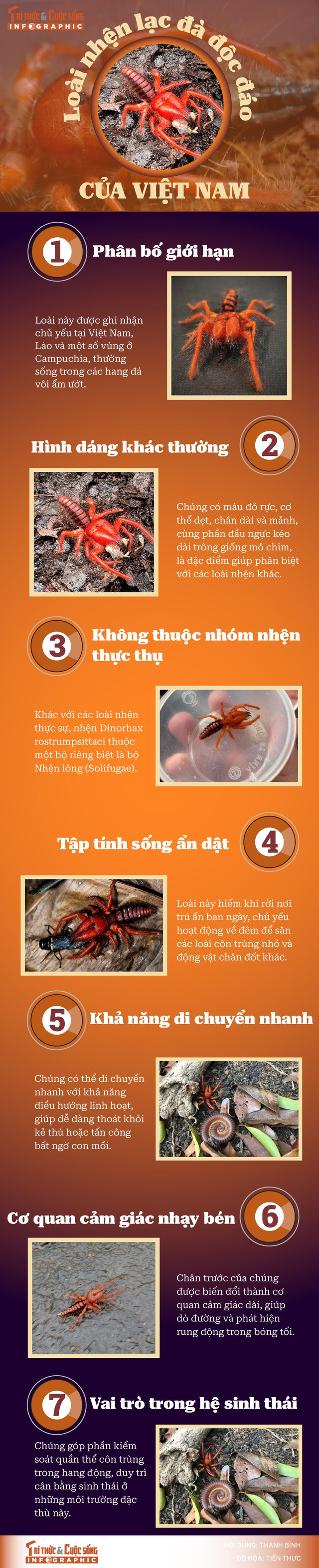 info-nhenlacda-01.jpg