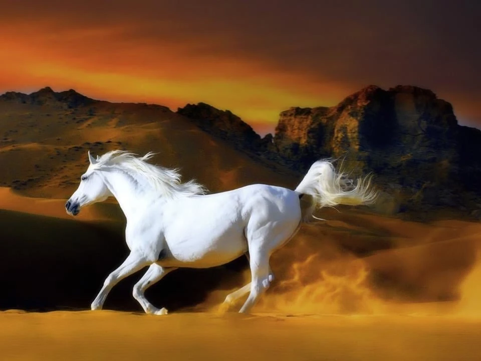 Trước Tết Đoan Ngọ, 3 tuổi ăn lộc Tổ Tiên, giàu khó cản