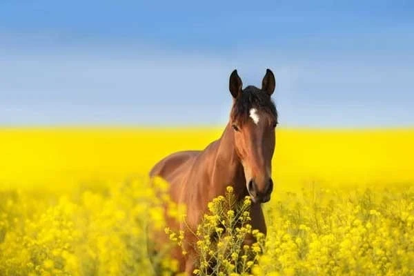 Từ 11 - 21/9, 3 tuổi trúng số độc đắc, tiền về vỡ két