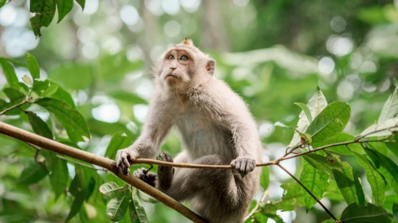 Tháng 9/2025, 3 con giáp trúng vận nhà đất, tiền vào như nước