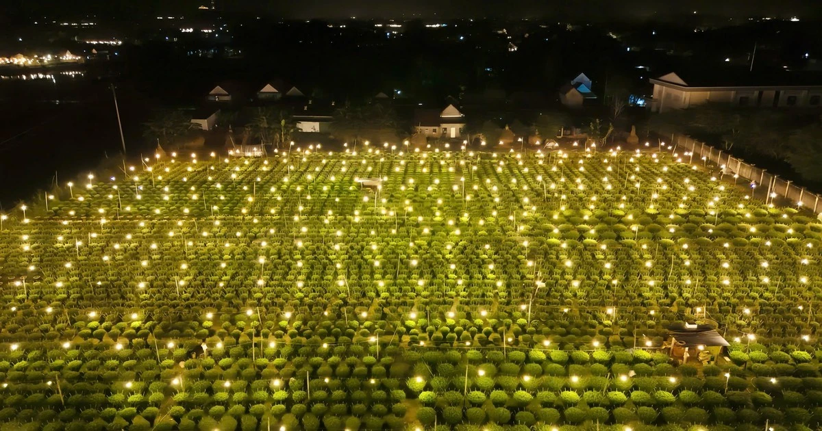 1 làng ở Quảng Ngãi thắp cả triệu bóng đèn, biến 'đêm thành ngày'