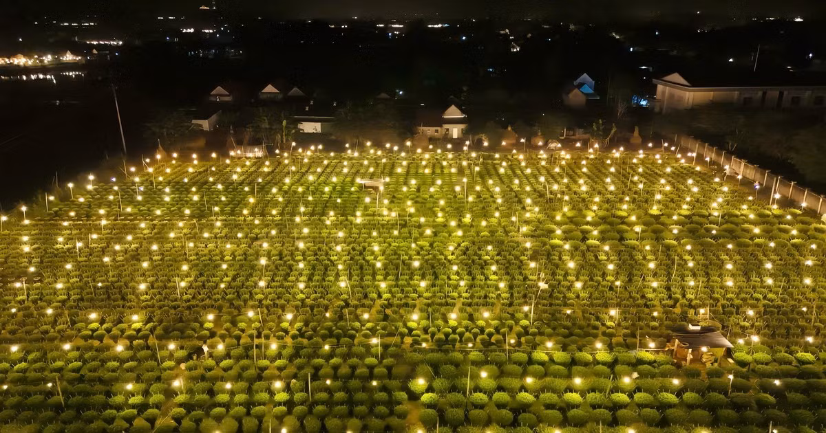 1 làng ở Quảng Ngãi thắp cả triệu bóng đèn, biến 'đêm thành ngày'