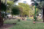 Biến vườn hoa công cộng thành nơi nhốt gà, kinh doanh ở Đống Đa