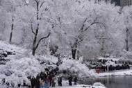 Hình ảnh tuyết rơi trắng xóa ở thành phố New York