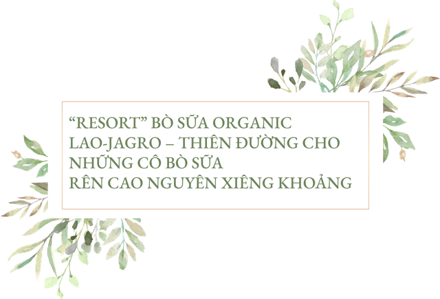 Đầu tư 120 triệu USD - Vinamilk hợp tác xây dựng tổ hợp “resort” bò sữa Organic tại Lào - Hình 3 Dau tu 120 trieu USD - Vinamilk hop tac xay dung to hop “resort” bo sua Organic tai Lao-Hinh-3