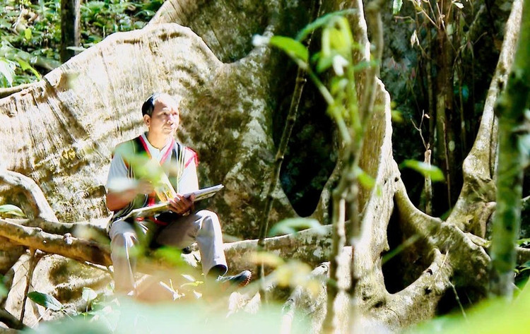 Ông Djung (xã Ayun, huyện Mang Yang) vẫn đều đặn thực hiện những chuyến đi rừng dài ngày. Ảnh Kim Ngân Ông Djung (xã Ayun, huyện Mang Yang) vẫn đều đặn thực hiện những chuyến đi rừng dài ngày. Ảnh Kim Ngân