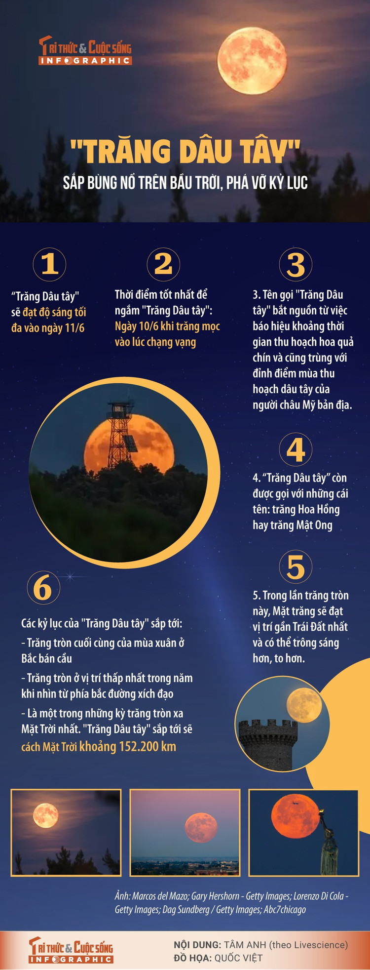 trang-dau-tay.jpg