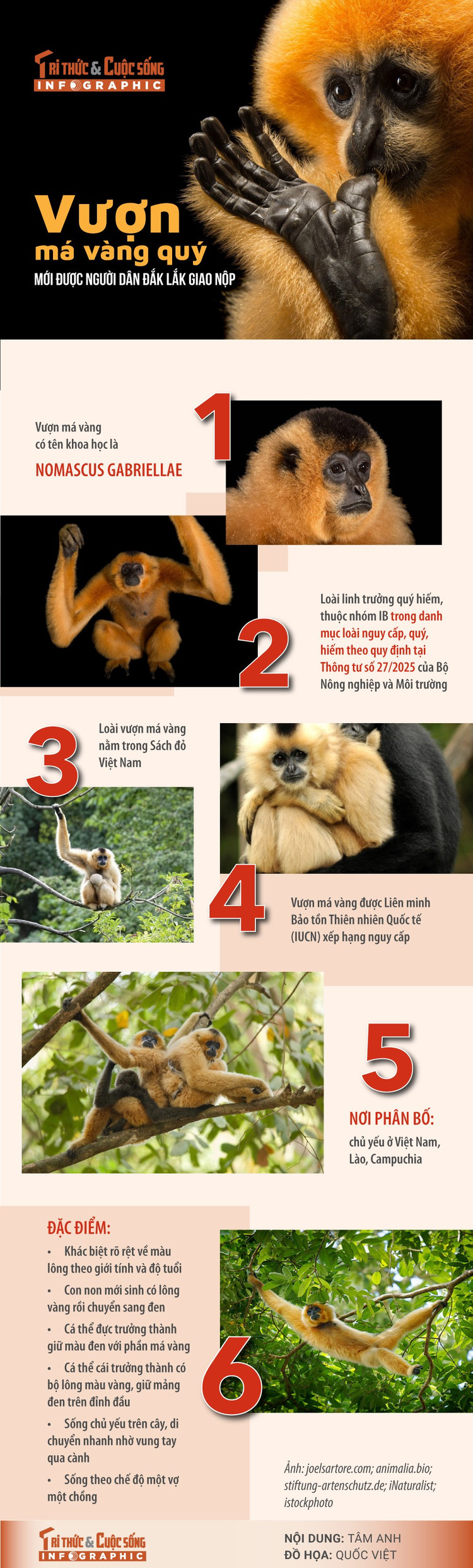 vuon-ma-vang.jpg