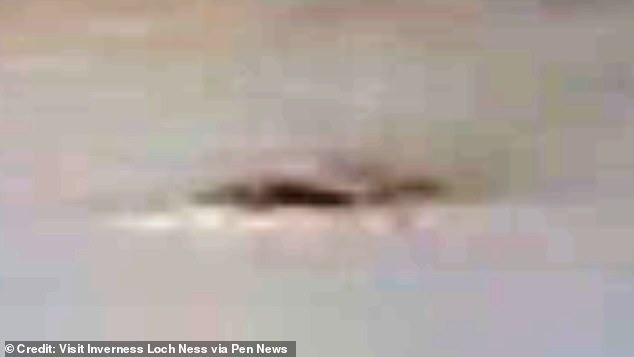 អ្នកប្រមាញ់សត្វចម្លែក Loch Ness Eoin O'Faodhagain បាននិយាយថាគាត់ quaii-2.jpg