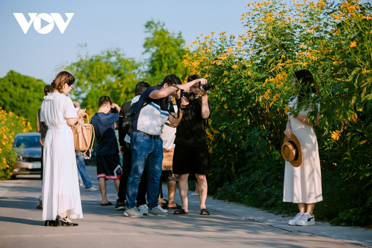 check-in con duong hoa da quy ruc ro o hai duong hinh anh 6