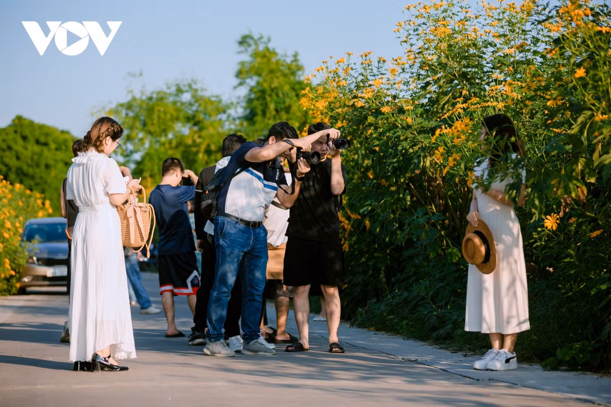 check-in con duong hoa da quy ruc ro o hai duong hinh anh 6