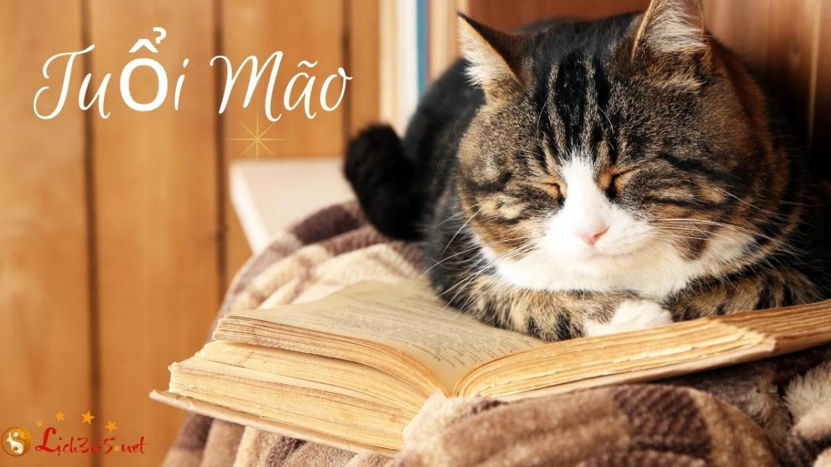 Người tuổi Mão cần chủ động và mạnh dạn hơn, chớ nên bỏ lỡ bất cứ cơ hội nào trong sự nghiệp. Bên cạnh đó, với những công việc đã làm, con giáp này cũng cần xem lại nhiều lần để hạn chế sai sót.