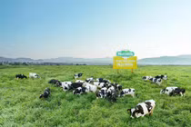 NUTIFOOD tăng đầu tư thêm 6.000 tỷ đồng mở rộng trang trại và nhà máy