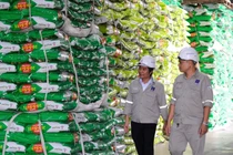 PVFCCo - Phú Mỹ: Tiên phong đổi mới sáng tạo