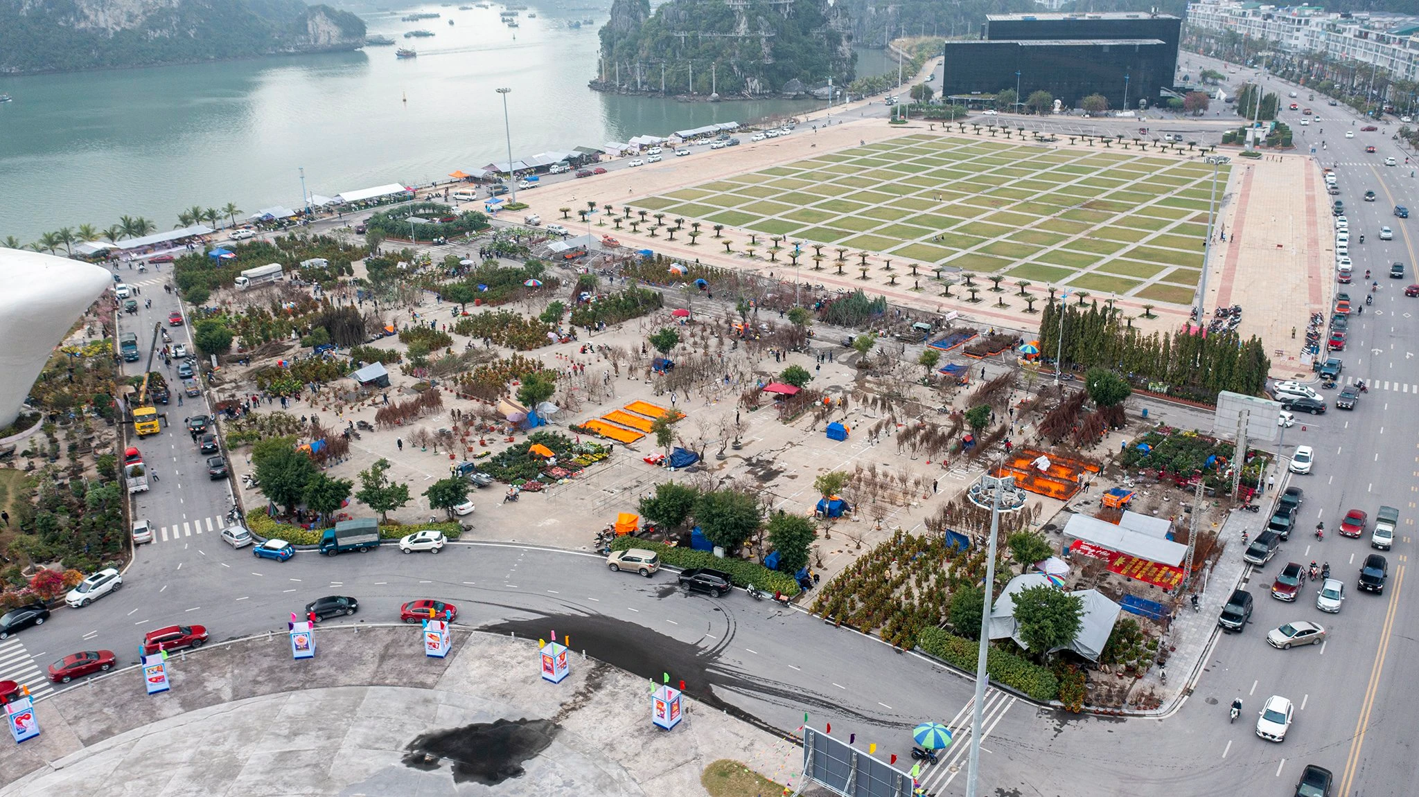 Tiểu thương ồ ạt đưa đào về Hạ Long bán Tết