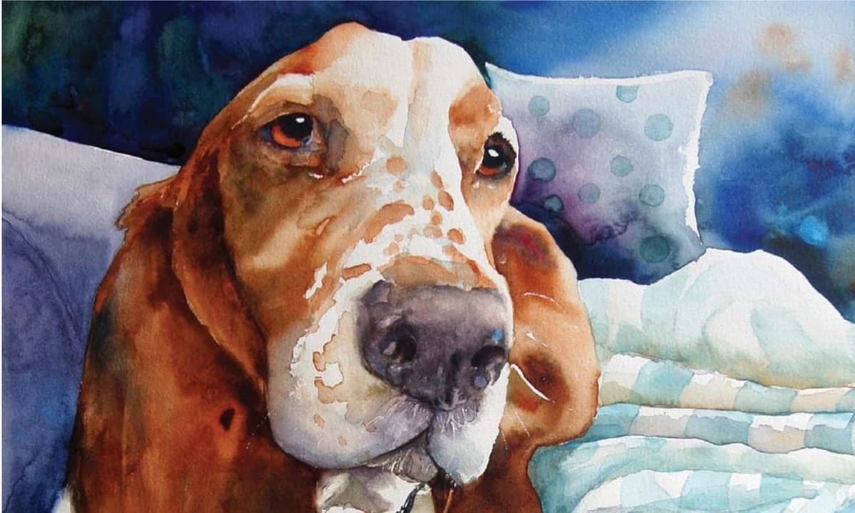 Tử vi tuần mới (13/3 - 19/3): top 3 con giáp vận số lên hương