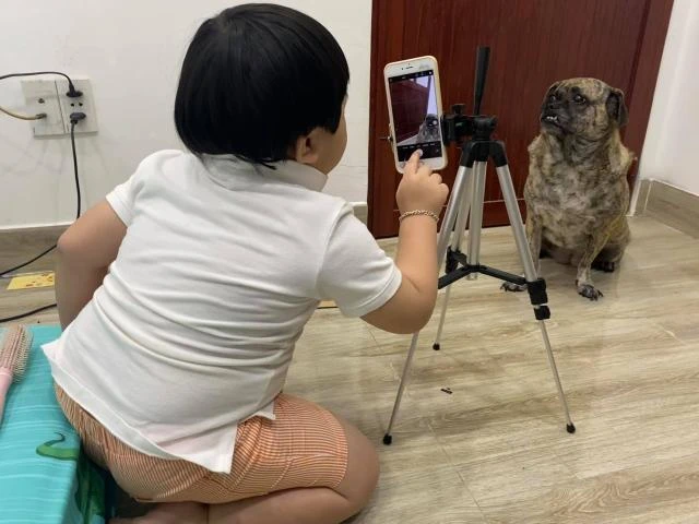 Video: Cậu bé loay hoay chụp ảnh cho chó cưng “gây sốt“