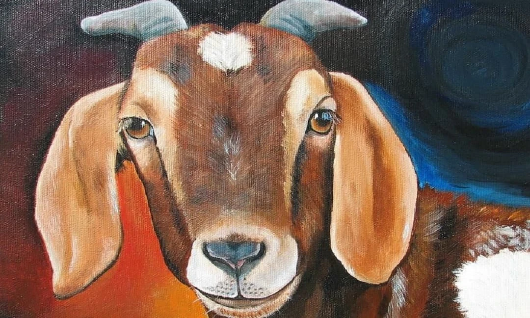 Top 3 con giáp quá ưu tú xuất chúng nên thường bị đố kỵ