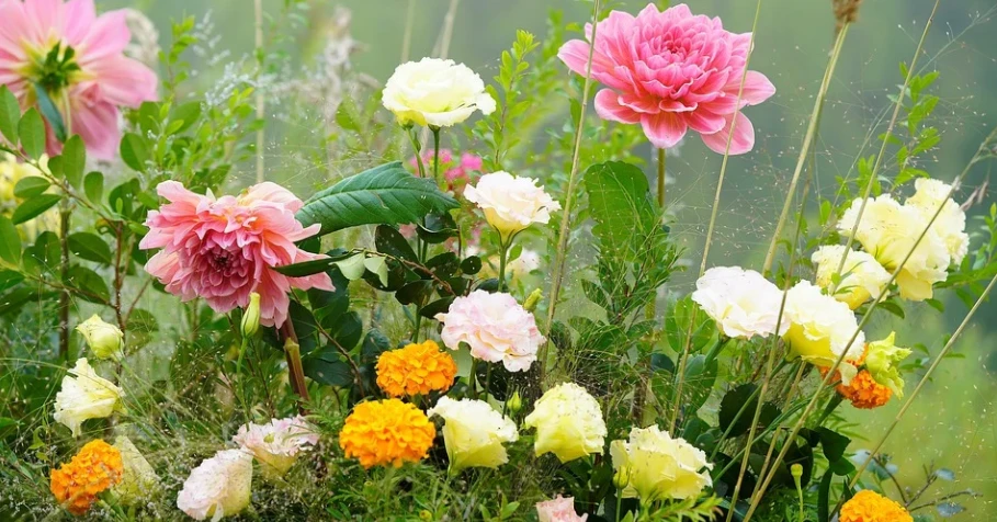 Mở cửa đón Thần Tài, 3 con giáp có tài lộc khởi sắc đầu tháng 4/2022