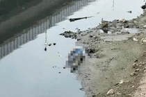 Phát hiện thi thể người đàn ông trên sông Tô Lịch