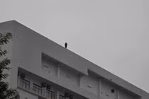 Giải cứu thiếu nữ có ý định tự tử tại Bệnh viện Bạch Mai