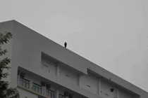 Giải cứu thiếu nữ có ý định tự tử tại Bệnh viện Bạch Mai