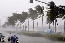 Áp thấp nhiệt đới sẽ mạnh thành bão số 5, giật cấp 14 còn có thể mạnh thêm