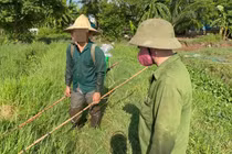 Xử phạt 12 triệu đồng đối với 3 trường hợp dùng kích điện khai thác thủy sản 