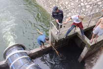 Dẫn nước từ hồ Tây để 'hồi sinh' sông Tô Lịch, người dân mang vợt ra bắt cá