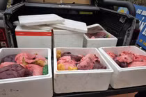 Phát hiện vụ vận chuyển gần 100 kg nội tạng lợn không giấy tờ ở Ninh Bình