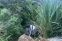 Ô tô chở theo 5 người lao xuống vực ở Tam Đảo