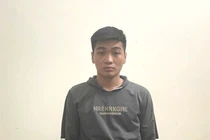 Bắt giữ đối tượng tàng trữ pháo nổ và ma túy ở Ninh Bình