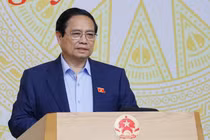 Thủ tướng chỉ đạo lập tổ công tác truy quét hàng giả 