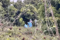 Bé gái chăn bò chết tức tưởi dưới tay gã hàng xóm dã tâm 