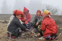 Không khí lạnh mạnh tăng cường, vùng núi cao có nơi dưới 7 độ 