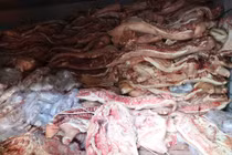 38 tấn thịt lợn nhiễm bệnh suýt tuồn ra thị trường, chủ cơ sở khai gì?