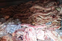 38 tấn thịt lợn nhiễm bệnh suýt tuồn ra thị trường, chủ cơ sở khai gì?